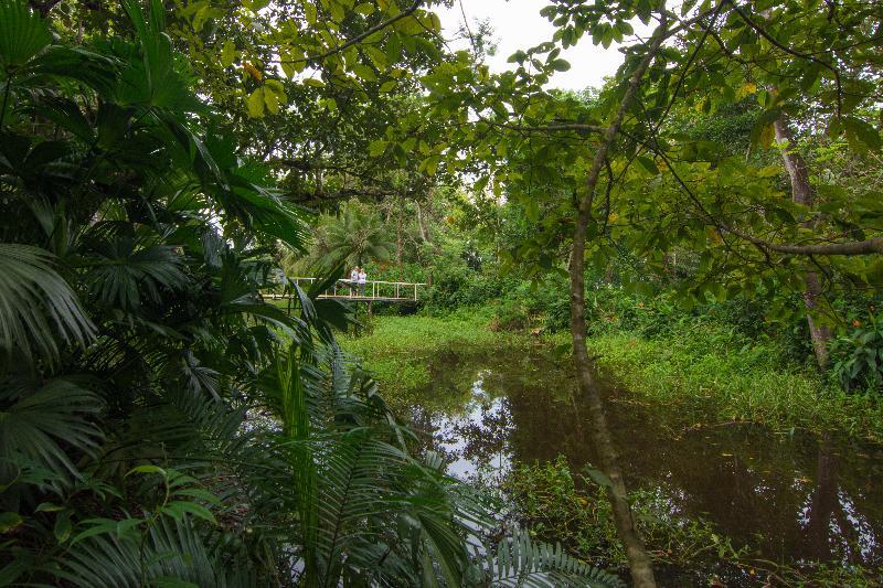 Crocodile Bay Resort Puerto Jimenez Exterior photo